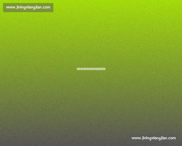 瑞典中锋盛赞申京：全能身手难挡攻防锋芒