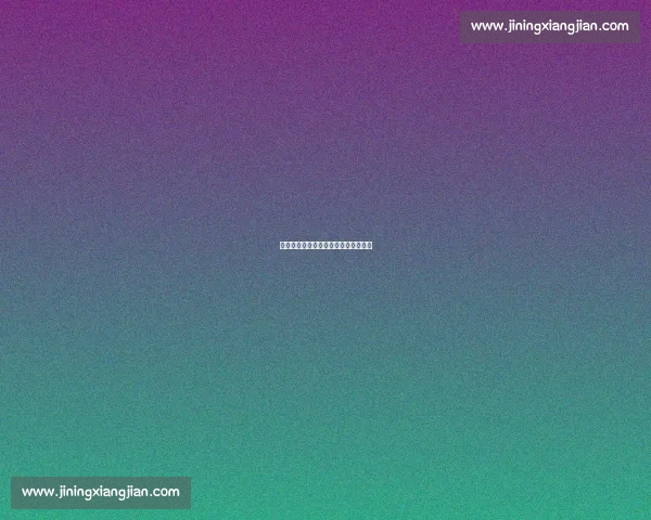 苏超应援团：跨省跨国的超级人脉网络