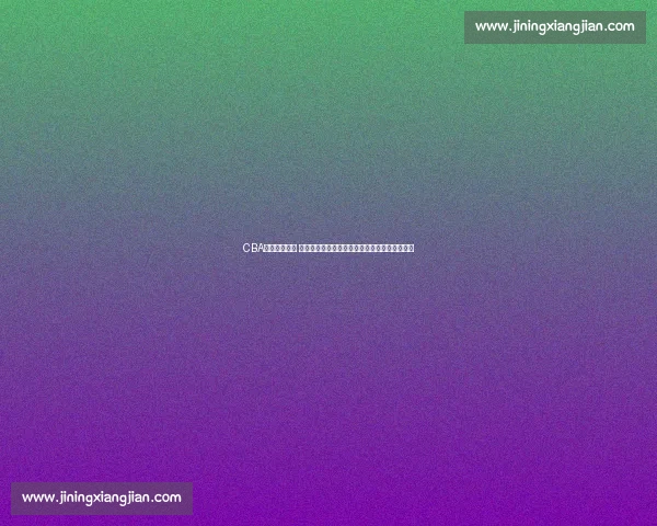 CBA焦点对决回顾 山东队与北京队鏖战背后的战术与精彩瞬间分析